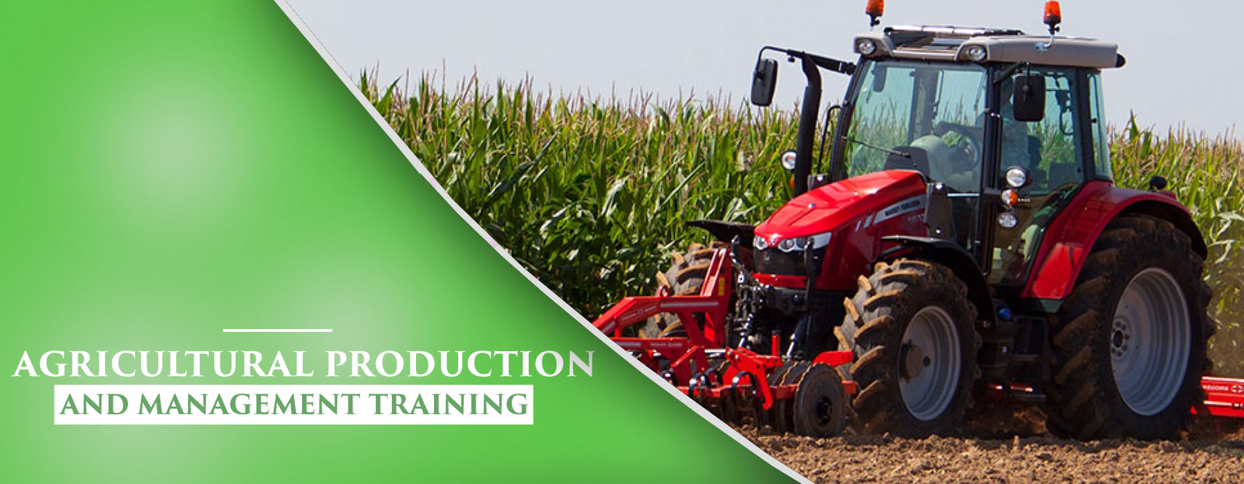 Starting a Modern Commercial Agricultural Enterprise in Nigeria Think Local and Act Global! G