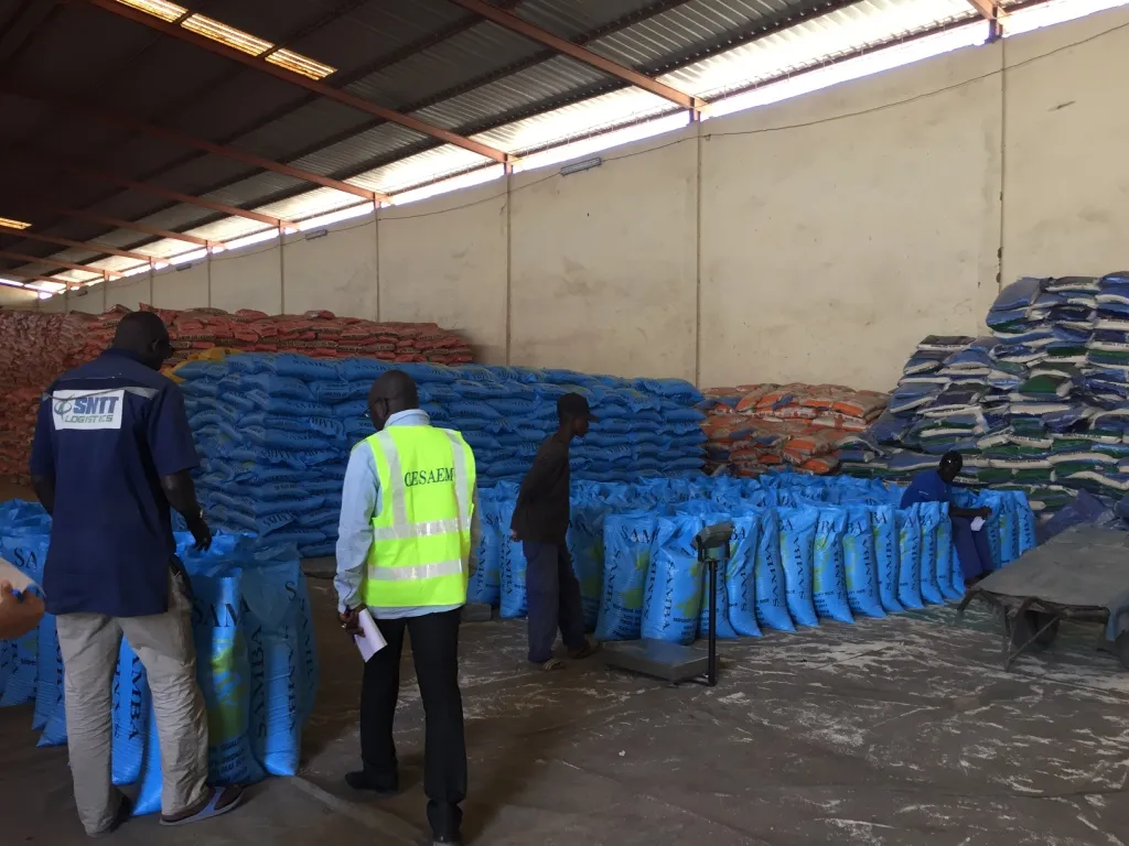 Handling agents and surveyors overseeing rice reconditioning