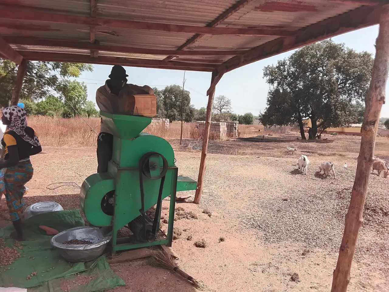 Small-scale groundnut processing machinery